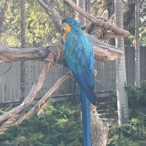 Meet your Posher, Gina